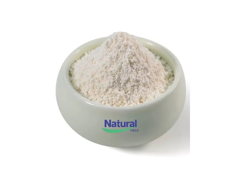 Benefici liposomali del glutatione: perché supera il normale GSH