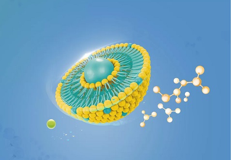 Liposomal Delivery Liposomal Delivery