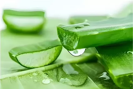 L'introduzione di Aloin