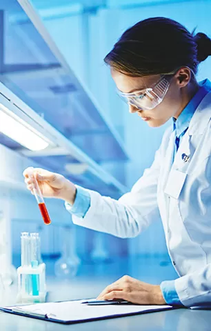 Certificazione autorevoli internazionale, controllo di qualità rigoroso