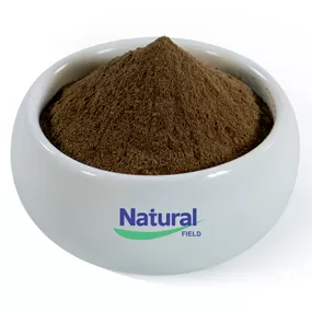 Bacopa Monniera estratto in polvere