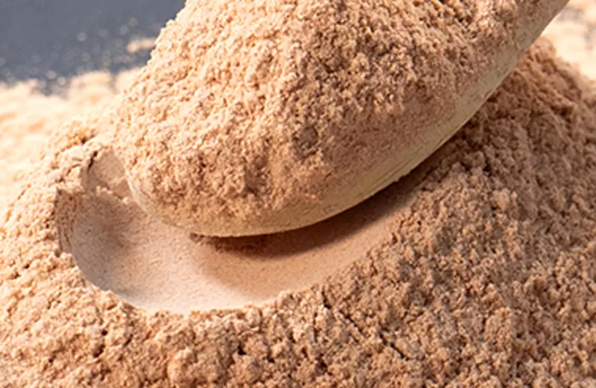 Caratteristiche dell'estratto di tè verde