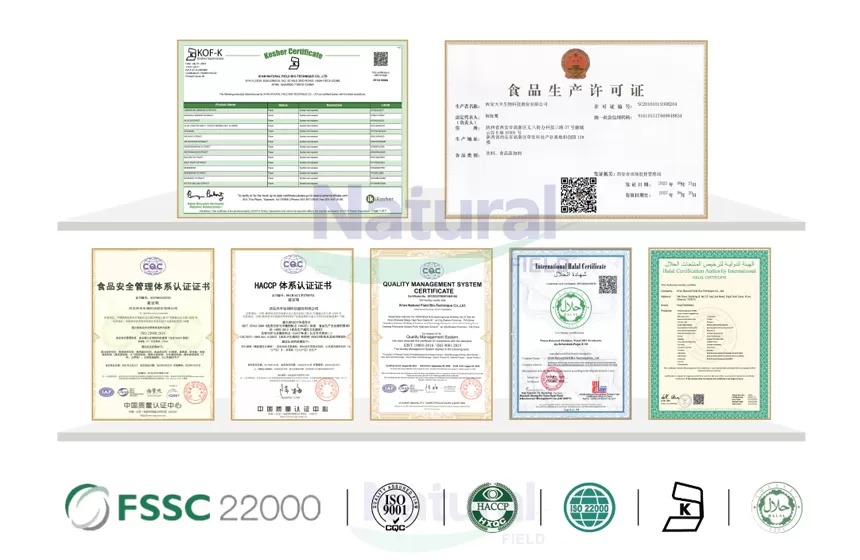 Benefici della polvere di Ginseng siberiano