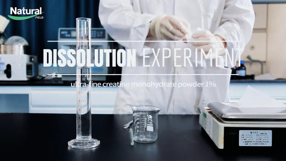 Produttore di creatina monoidrato micronizzata sfusa | Granulometria fine e migliori prestazioni di dispersione