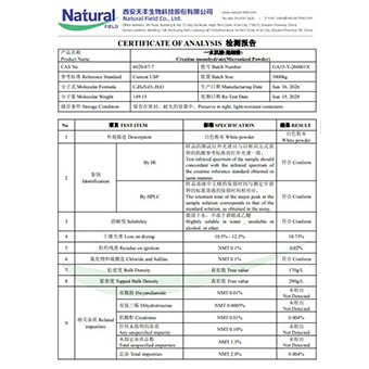 NF-COA- GA35-Y-260601X - Creatina monoidrato (polvere micronizzata)