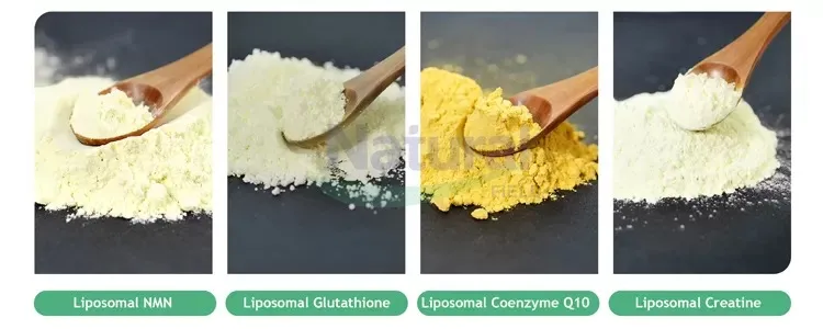 Cos'è la creatina liposomiale in polvere?