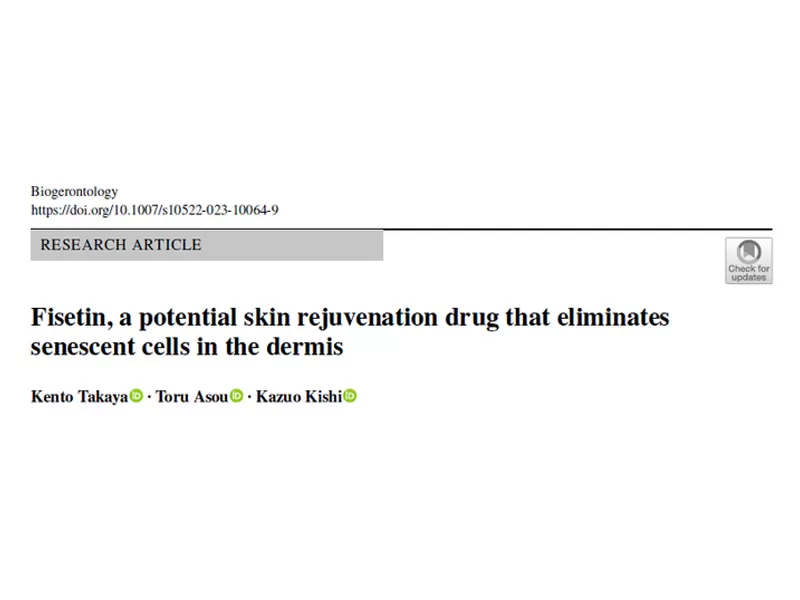 Fisetin: eliminazione mirata delle cellule senescenti nello strato dermico, sblocco di nuove possibilità per la pelle Anti-invecchiamento