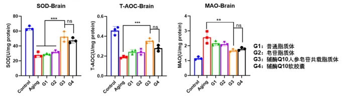 Compelling Results in the Natural Aging Model