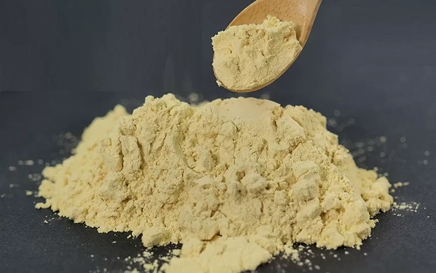 Il segreto per rimanere sani ed energici: aumentare la tua immunità