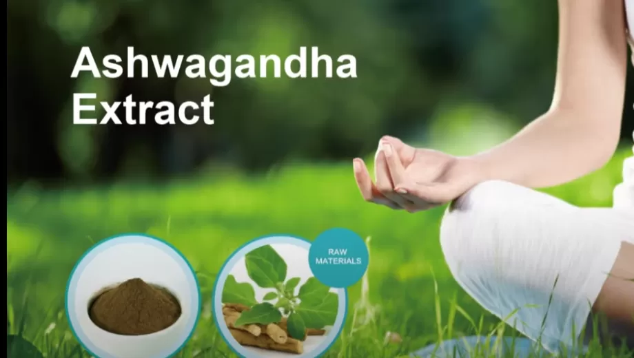 Estratto di Ashwagandha