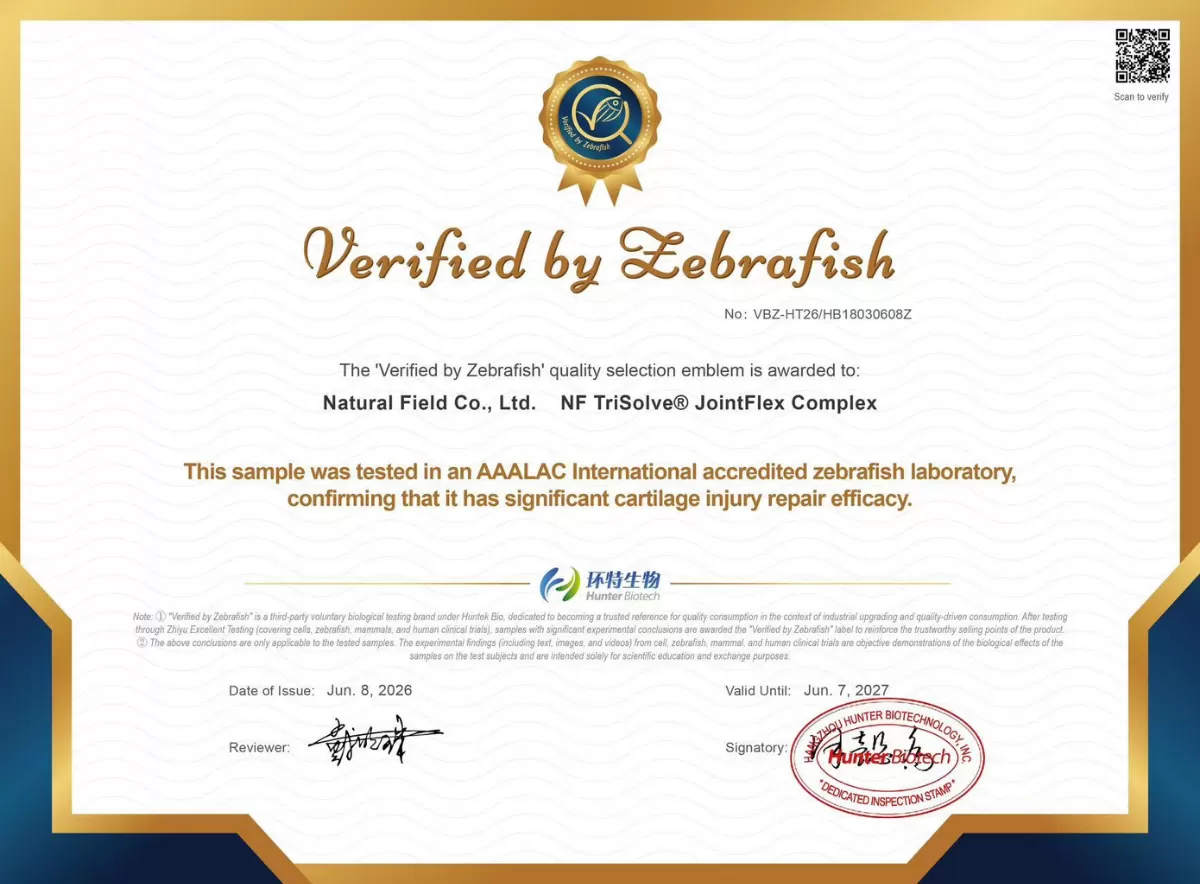 Certificato di riparazione di lesione cartilaginea