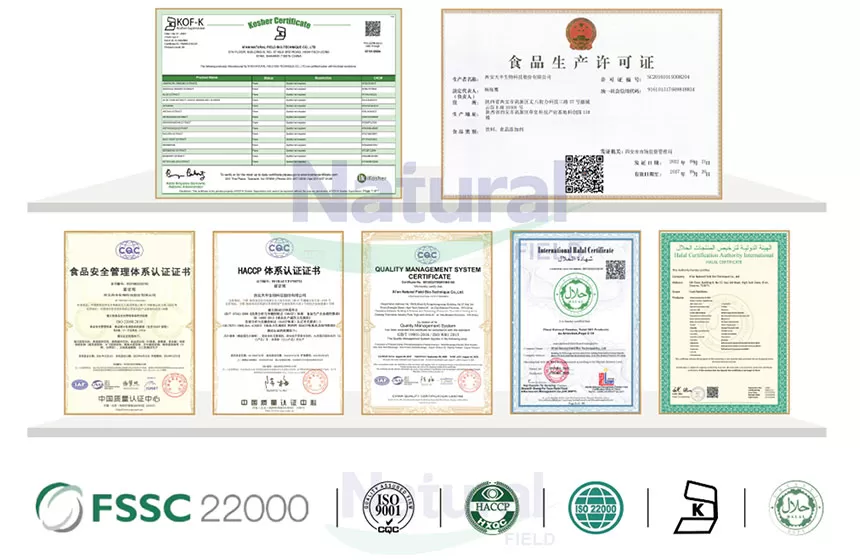 Perché scegliere il campo naturale come fornitore di polvere di creatina monoidrato?