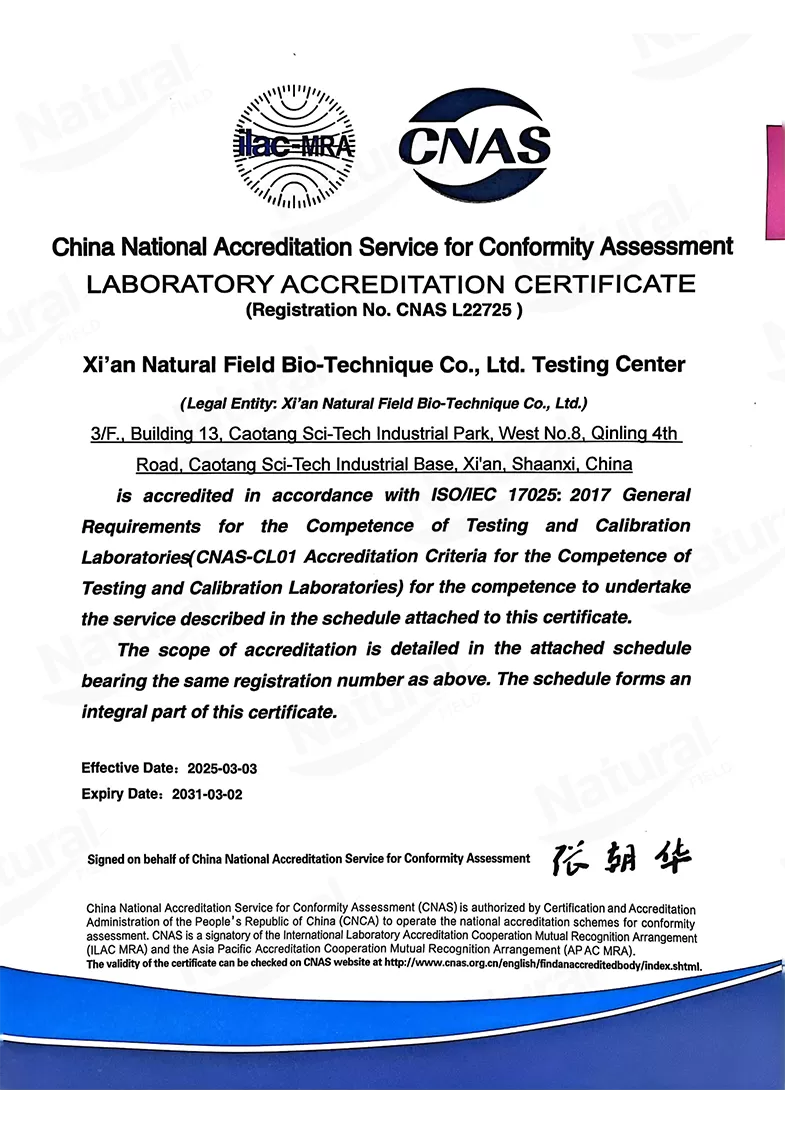 CNAS Certificate