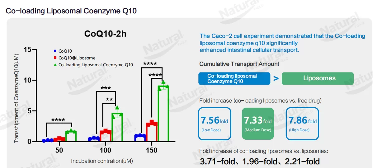 co-loaded-liposome-coq10