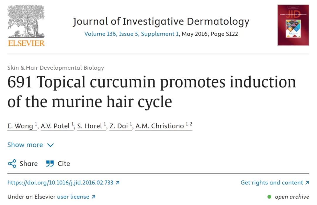 Curcumin: A Natural Powerhouse for Hair Loss Prevention and Holistic Health