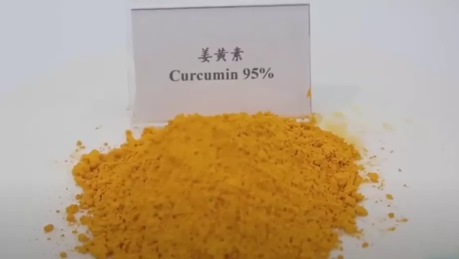 Benefici della curcumina: scienza, suggerimenti per la salute e scegli i migliori integratori