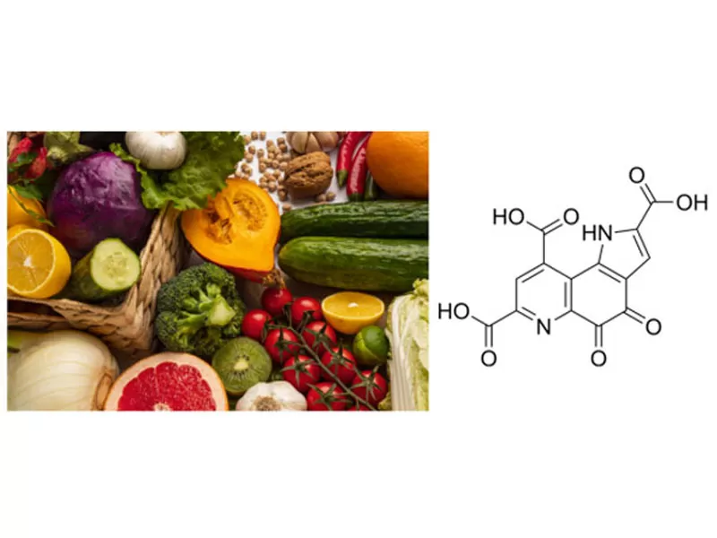 Approvazione Double Top Journal! PQQ riconosciuto come cognitivo Anti-età