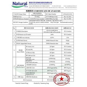 NF-COA glutatione liposomi 70%