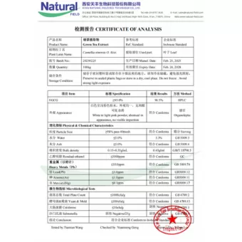 NF-COA Estratto di tè verde (EGCG)
