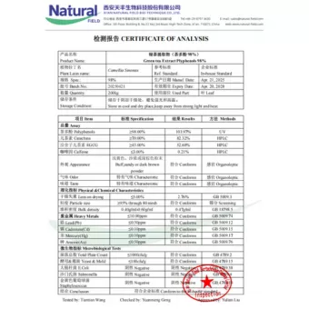 NF-COA Estratto di Tè Verde Polifenoli