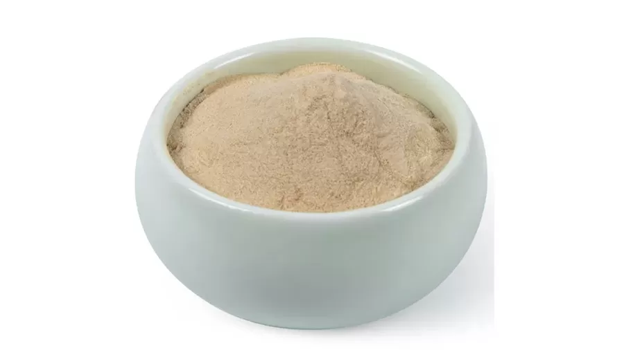 The Evolution of Ashwagandha Extraction Technology: dalla macerazione tradizionale alla svolta di NF Ashwa Ashwagandha impresso istantaneo