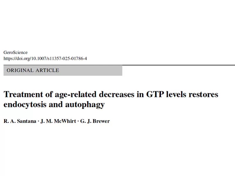 L'ultima ricerca questo composto di tè verde vitaminico può ripristinare rapidamente i livelli di energia delle cellule cerebrali