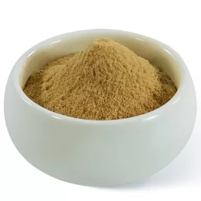 Polvere di Criniera di Leone