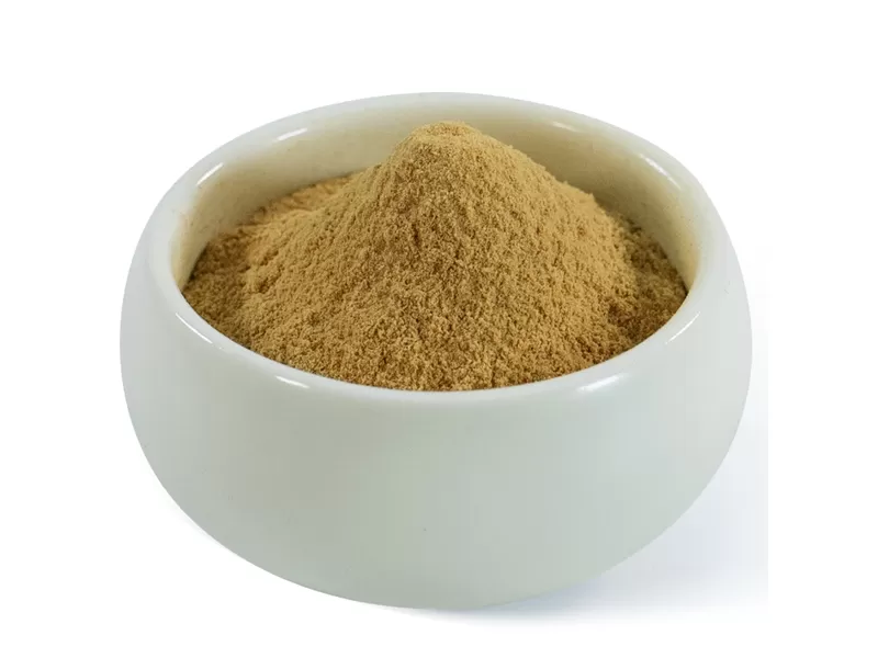 estratto di Hericium erinaceus