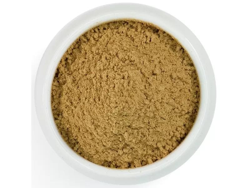 polvere di fungo criniera di leone