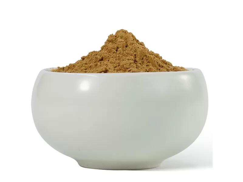 fungo criniera di leone biologico