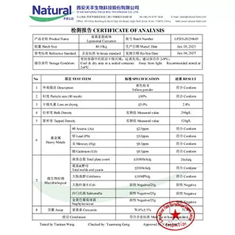Curcumina liposomale 70%