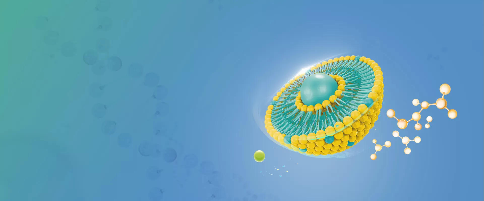 Ingredienti liposomali