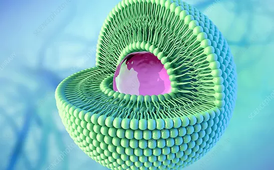 Tecnologia Liposomiale Spiegata: Dalle Sfide di Biodisponibilità alla Produzione Industriale di Polvere Liposomiale