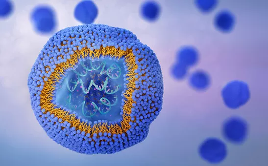 I 10 migliori produttori di Liposomal nel regno unito