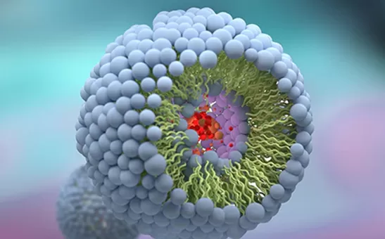 I 10 migliori produttori di Liposomal negli stati uniti