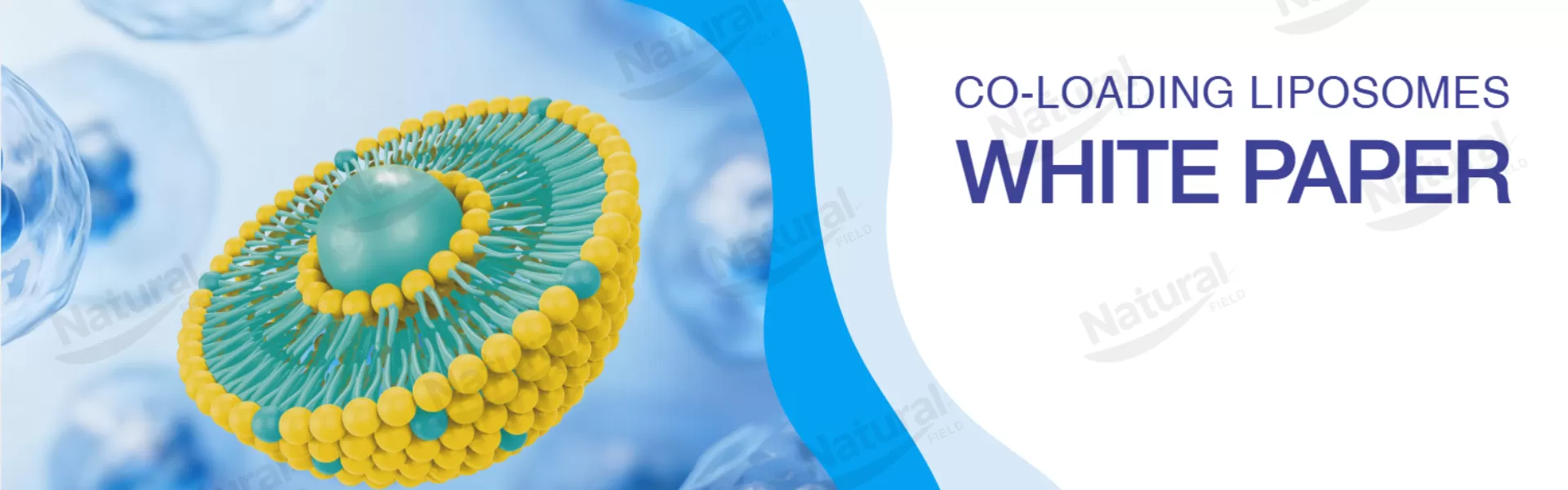 Scopri il nostro white paper scientifico