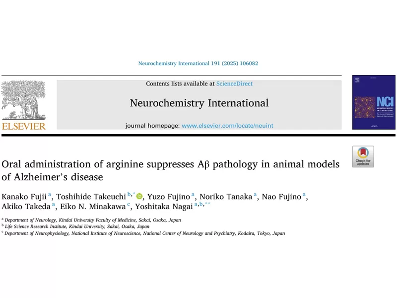 Cerchi un ingrediente per la salute del cervello sicuro ed efficace? Arginina: con supporto scientifico, conveniente, soluzione dei punti del dolore del tuo prodotto di base!