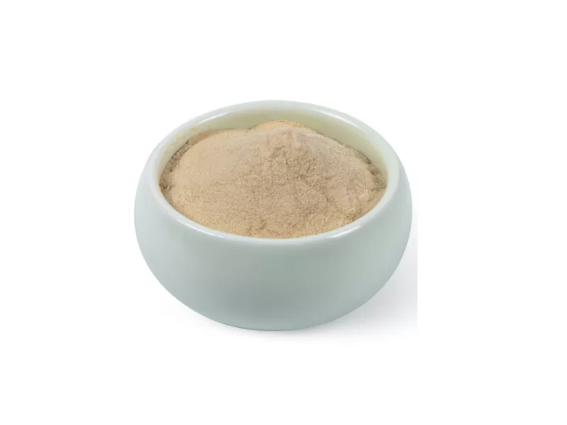 A cosa serve la polvere di Ashwagandha?