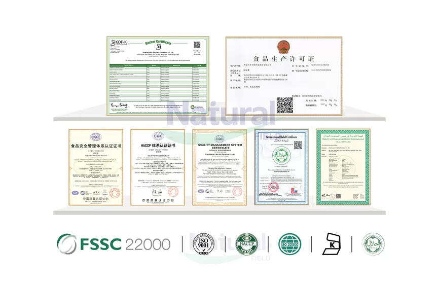 Perché scegliere il campo naturale come la tua fabbrica di polvere muslimata in cina?