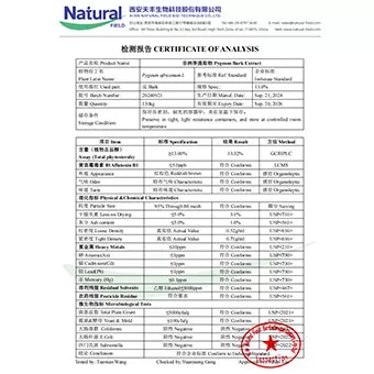Estratto di corteccia di Pygeum