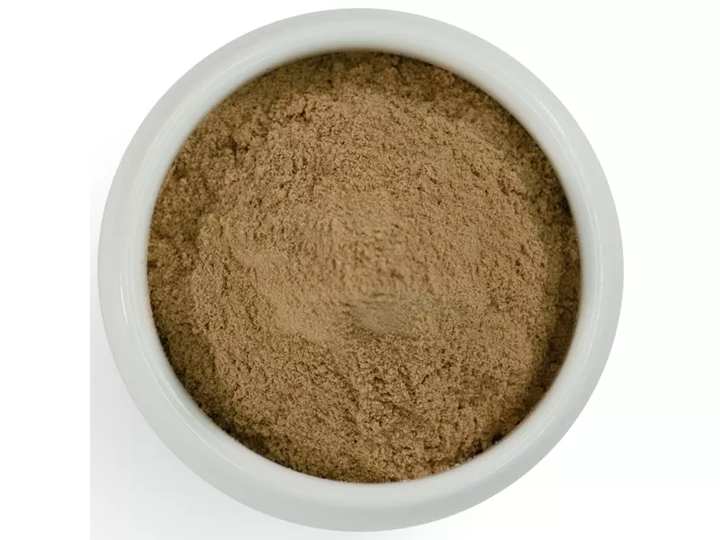 Polvere di estratto di fungo shiitake