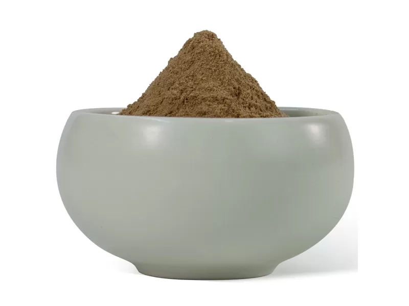 estratto di fungo shiitake biologico