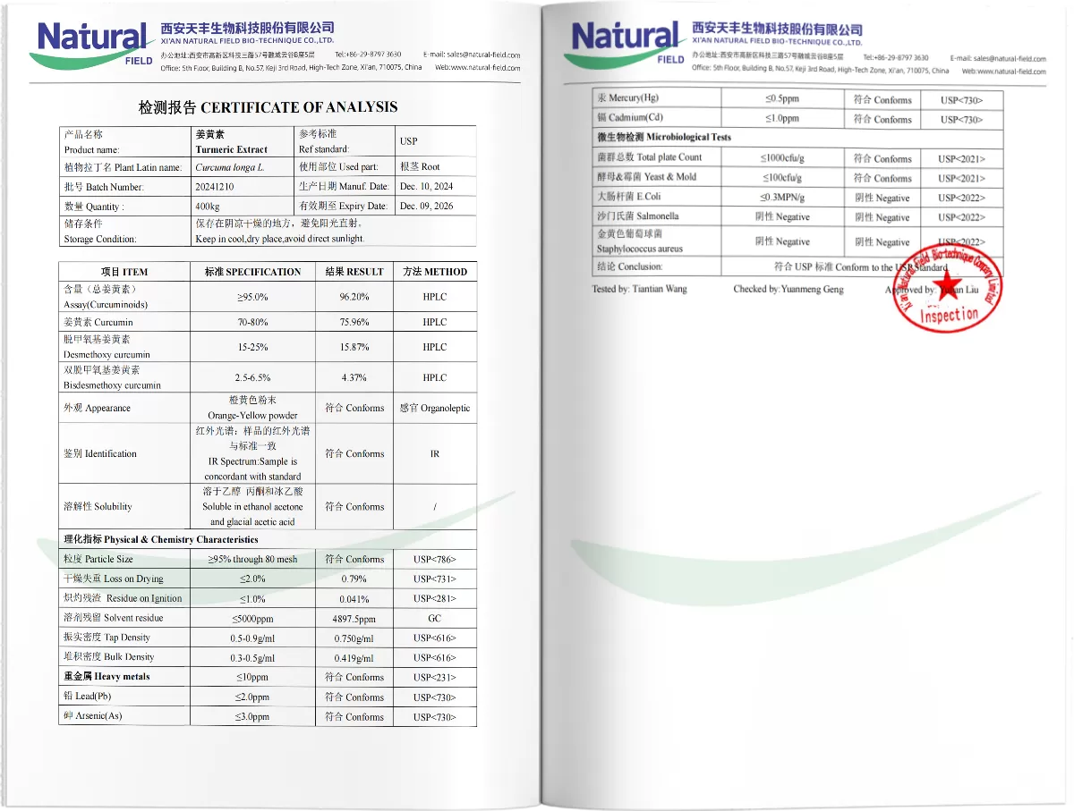 Estratto di curcumina curcuma PDF